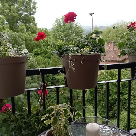 Apartment Bajka Vrnjacka Banja